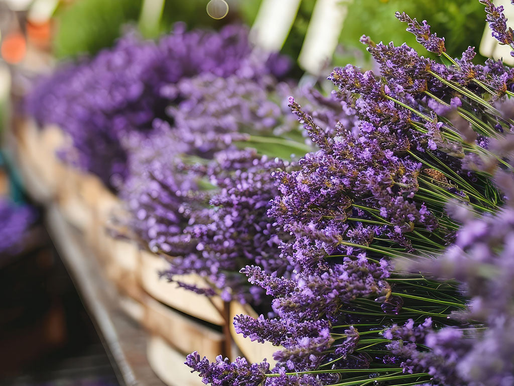 WHAT IS MULTISENSORY MARKETING AND HOW CAN IT HELP YOUR BUSINESS STAND OUT?