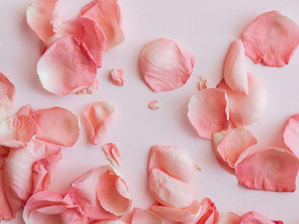 Sniffing out success: The psychology of marketing scents on emotions and behaviours