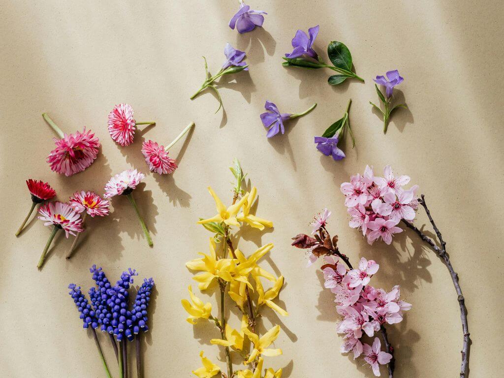 10 COMMON SCENT MARKETING MISTAKES TO AVOID