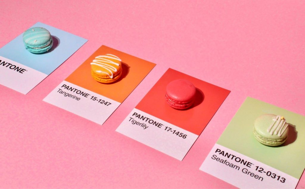 Macarons paired with pantone colour cards that show visual branding