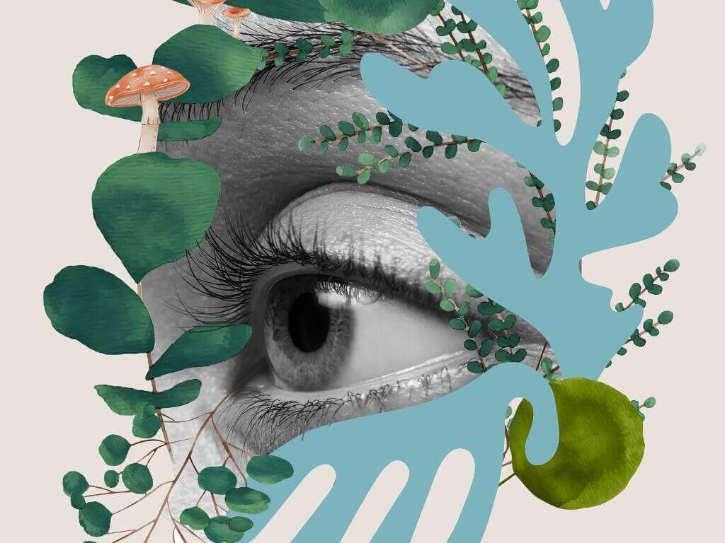 Creative graphic of a woman's eye with designs of greenery surrounding it.